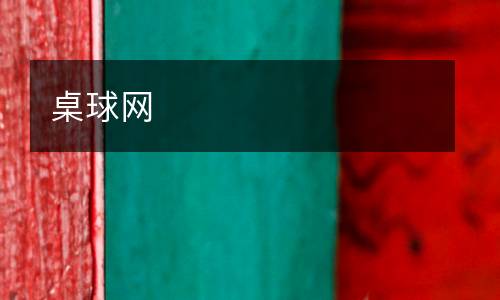 桌球網